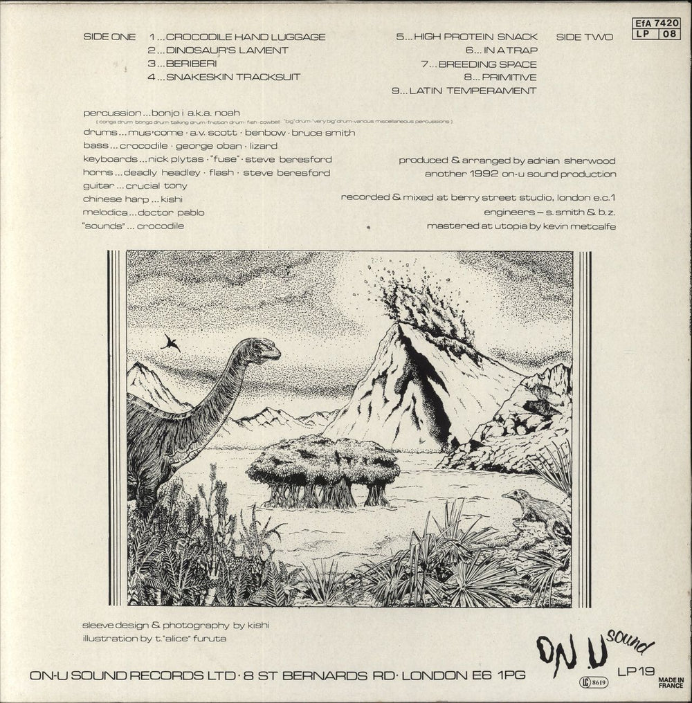 African Head Charge Environmental Studies UK vinyl LP album (LP record)