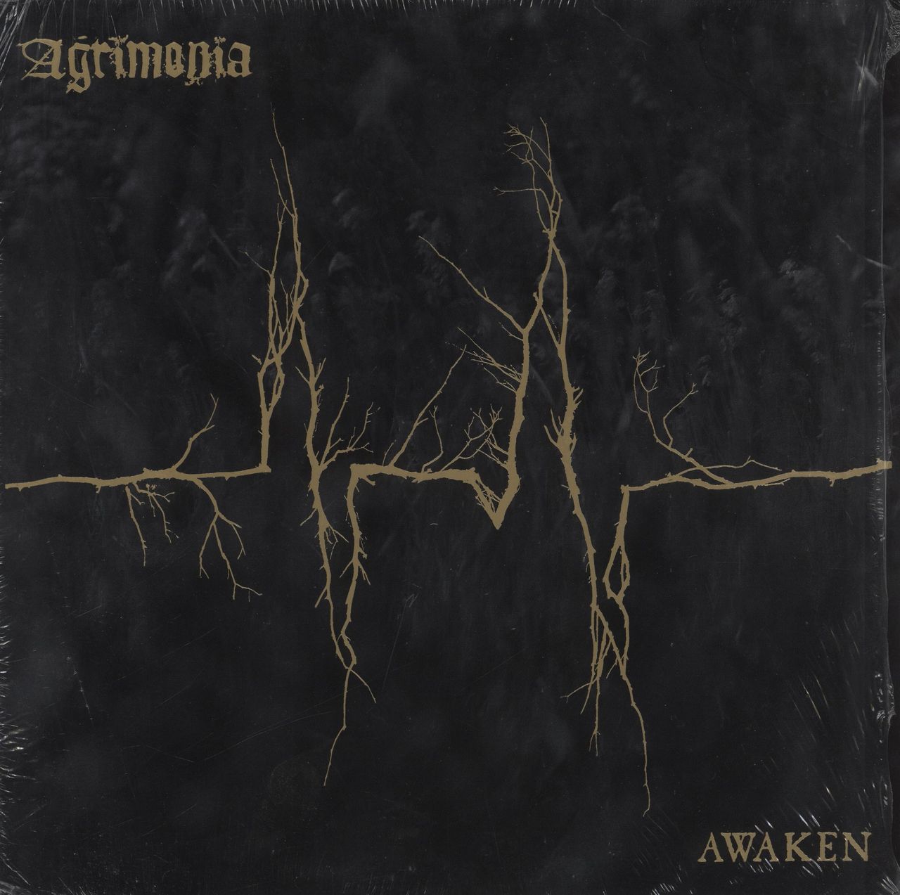 Agrimonia