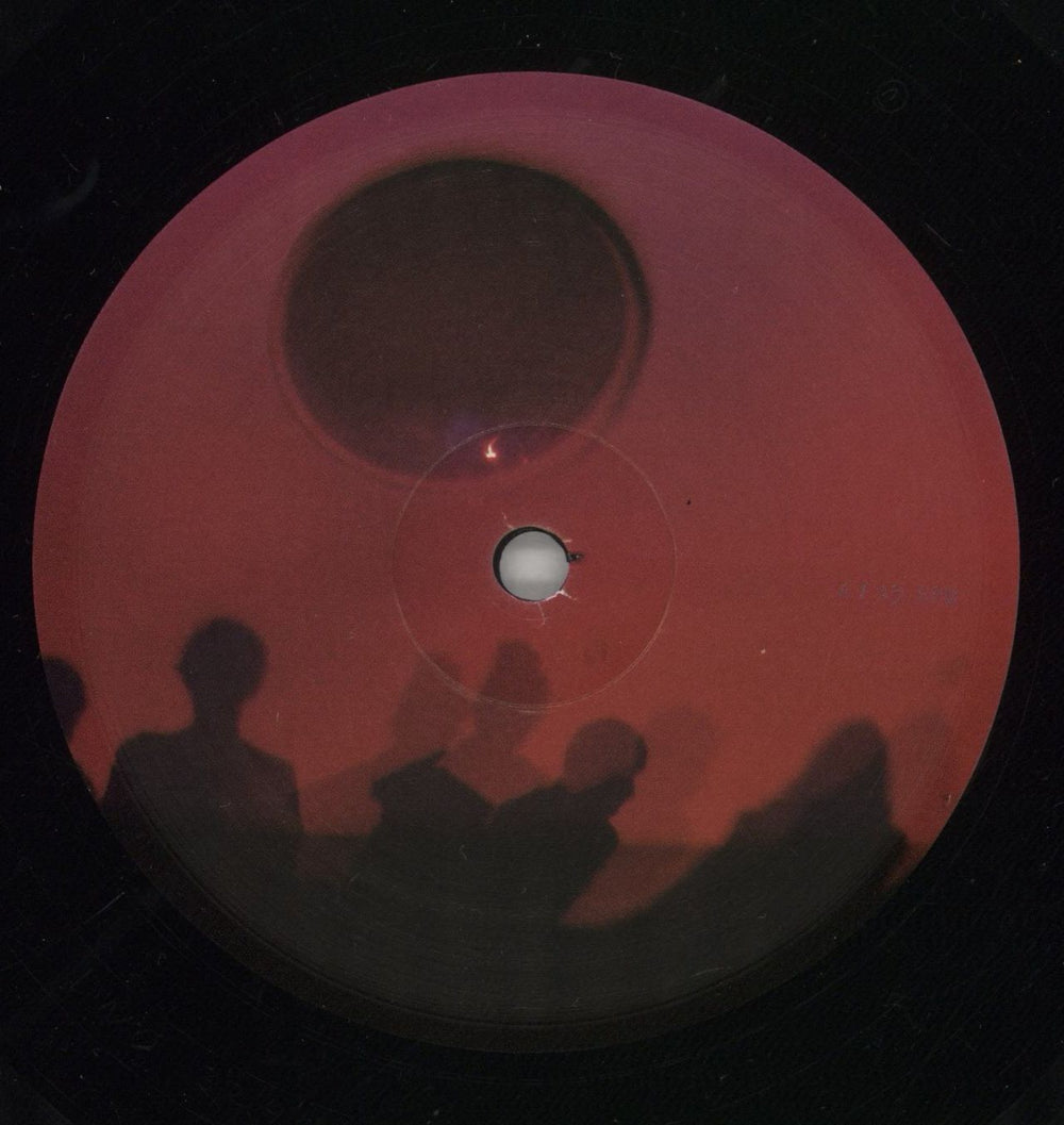 Animal Collective Transverse Temporal Gyrus - RSD12 US 12" vinyl single (12 inch record / Maxi-single) AN612TR865214