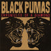 Black Pumas Chronicles Of A Diamond - Transparent Red Vinyl Indie Exclusive UK vinyl LP album (LP record) 3YALPCH821984