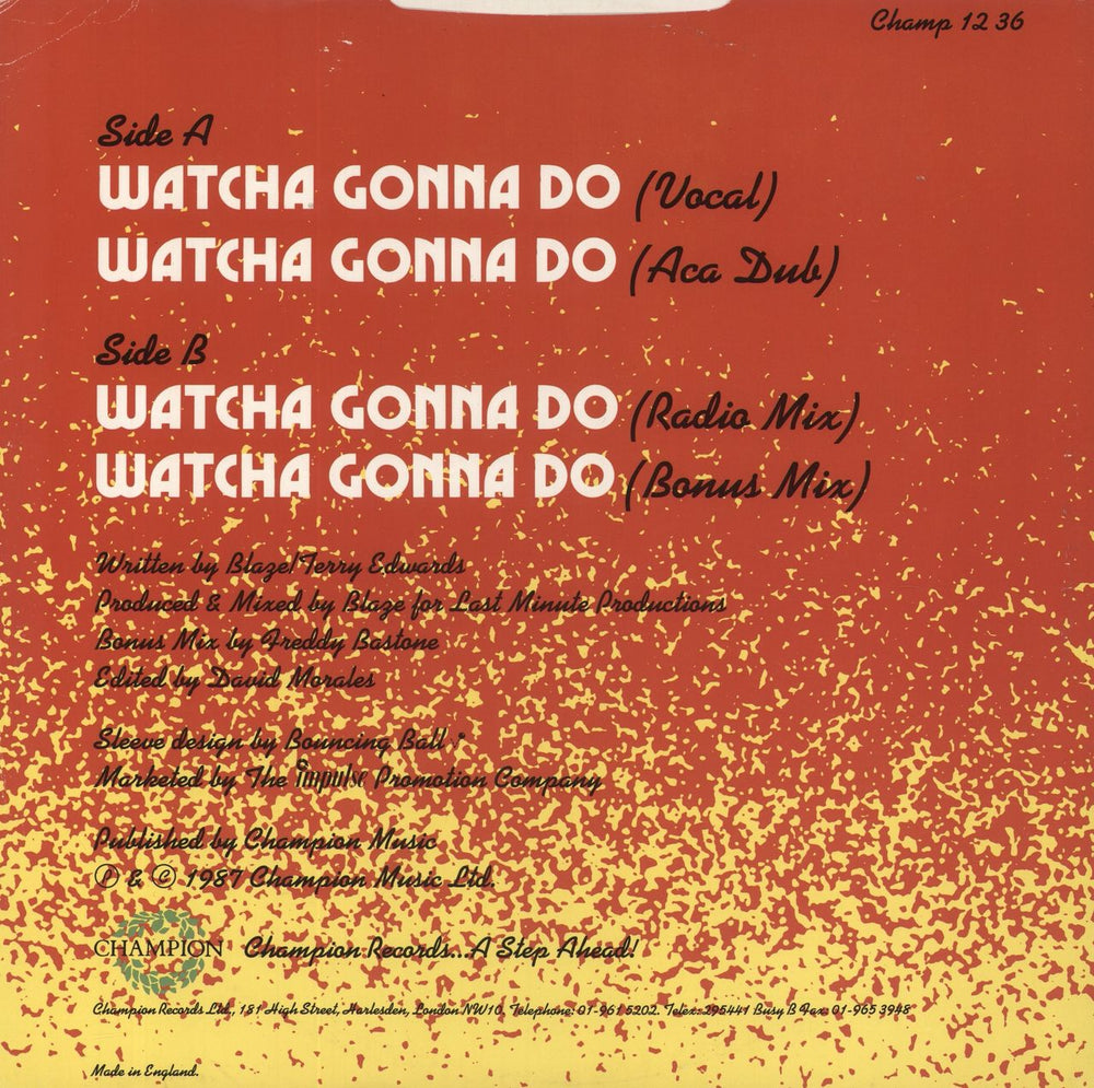 Blaze Watcha Gonna Do UK 12" vinyl single (12 inch record / Maxi-single)