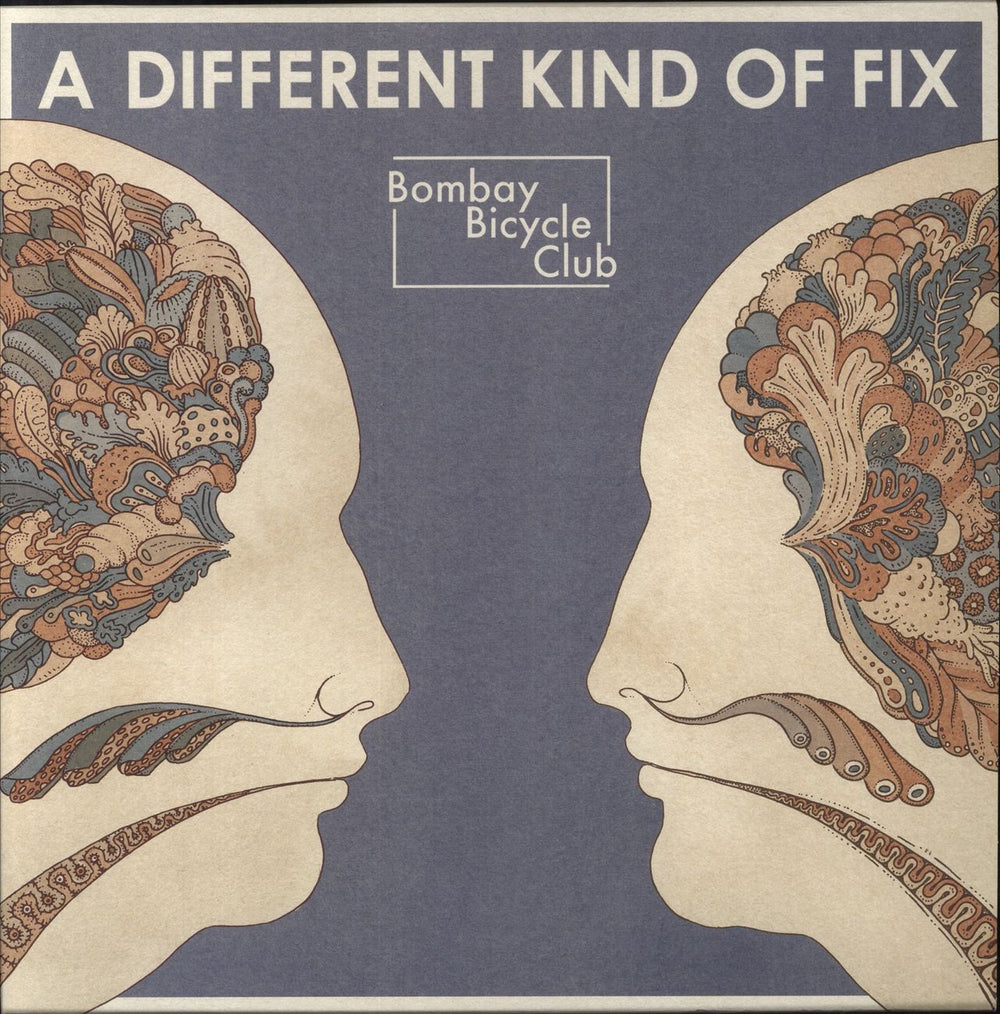 Bombay Bicycle Club A Different Kind Of Fix UK vinyl LP album (LP record) 2777324