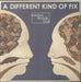 Bombay Bicycle Club A Different Kind Of Fix UK vinyl LP album (LP record) 2777324