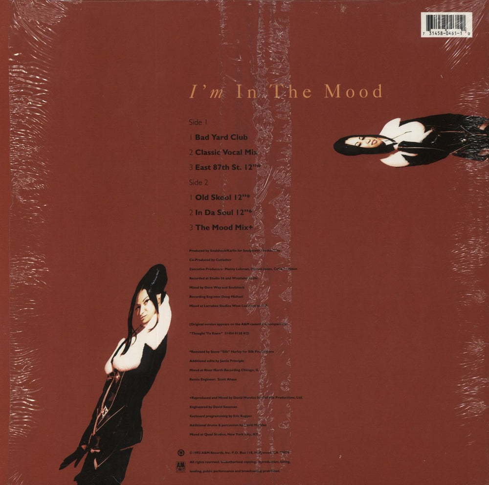 Ce Ce Peniston I'm In The Mood US 12" vinyl single (12 inch record / Maxi-single) 731458046110