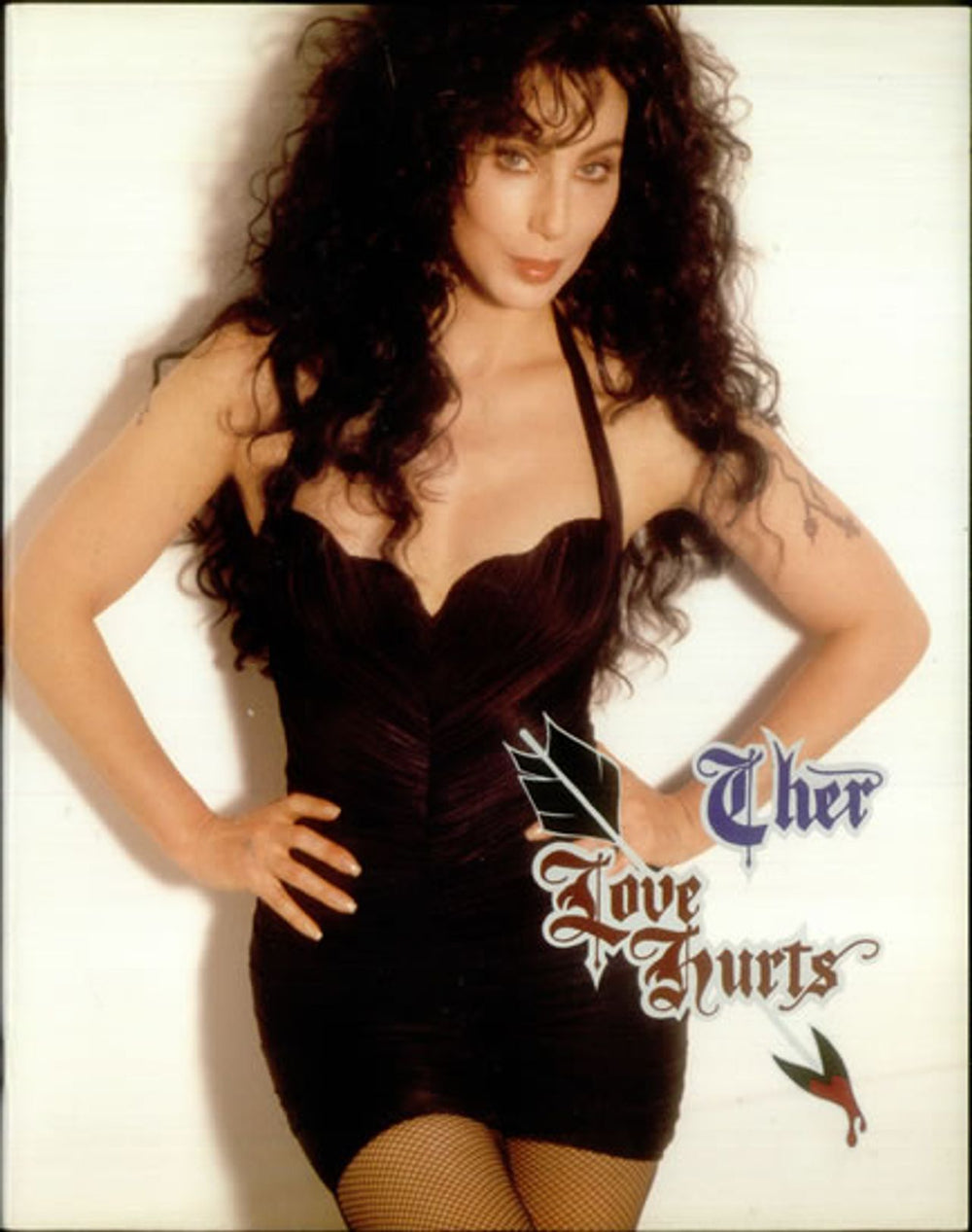 Cher Love Hurts UK tour programme TOUR PROGRAM