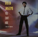 David Joseph You Can't Hide (Your Love From Me) UK 12" vinyl single (12 inch record / Maxi-single) 12IS101