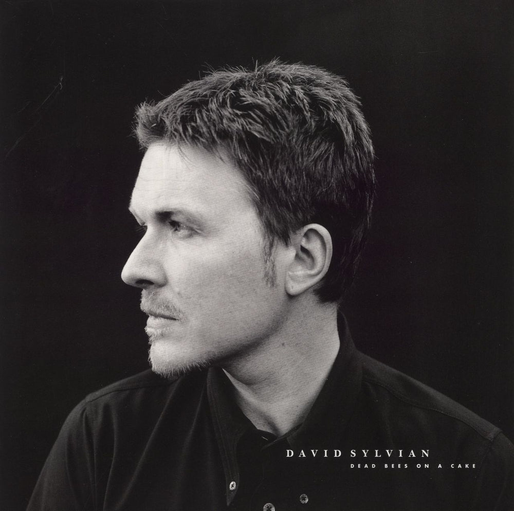 David Sylvian Dead Bees On Cake - 180gm UK 2-LP vinyl record set (Double LP Album) 671524-3