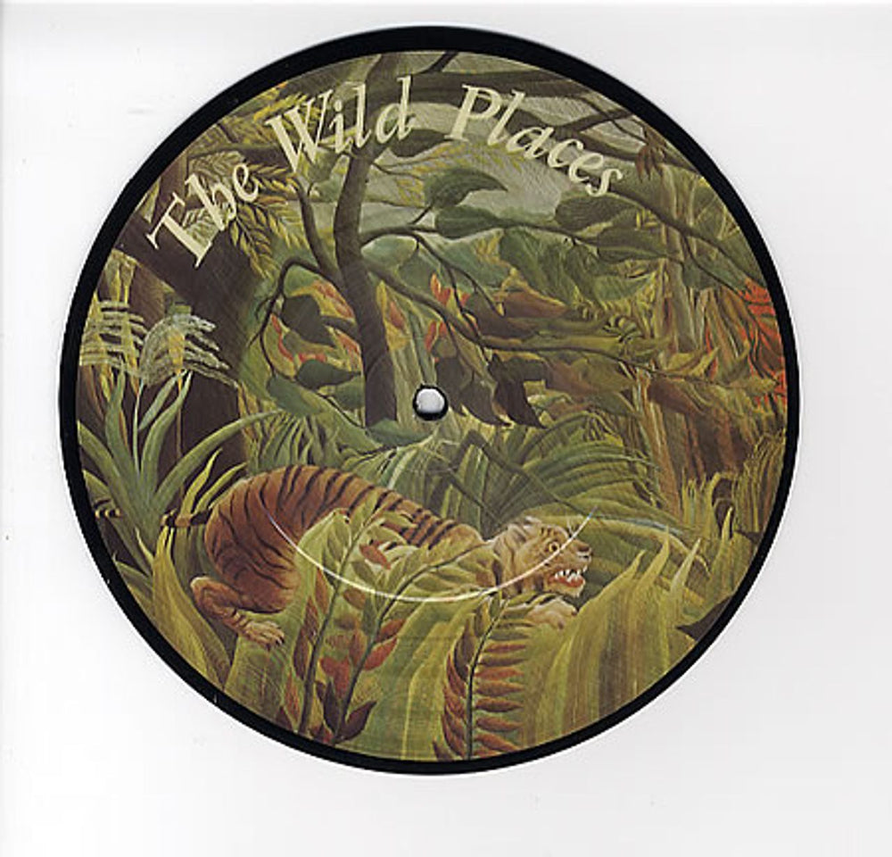 Duncan Browne The Wild Places UK 7" vinyl picture disc (7 inch picture disc single) GO329