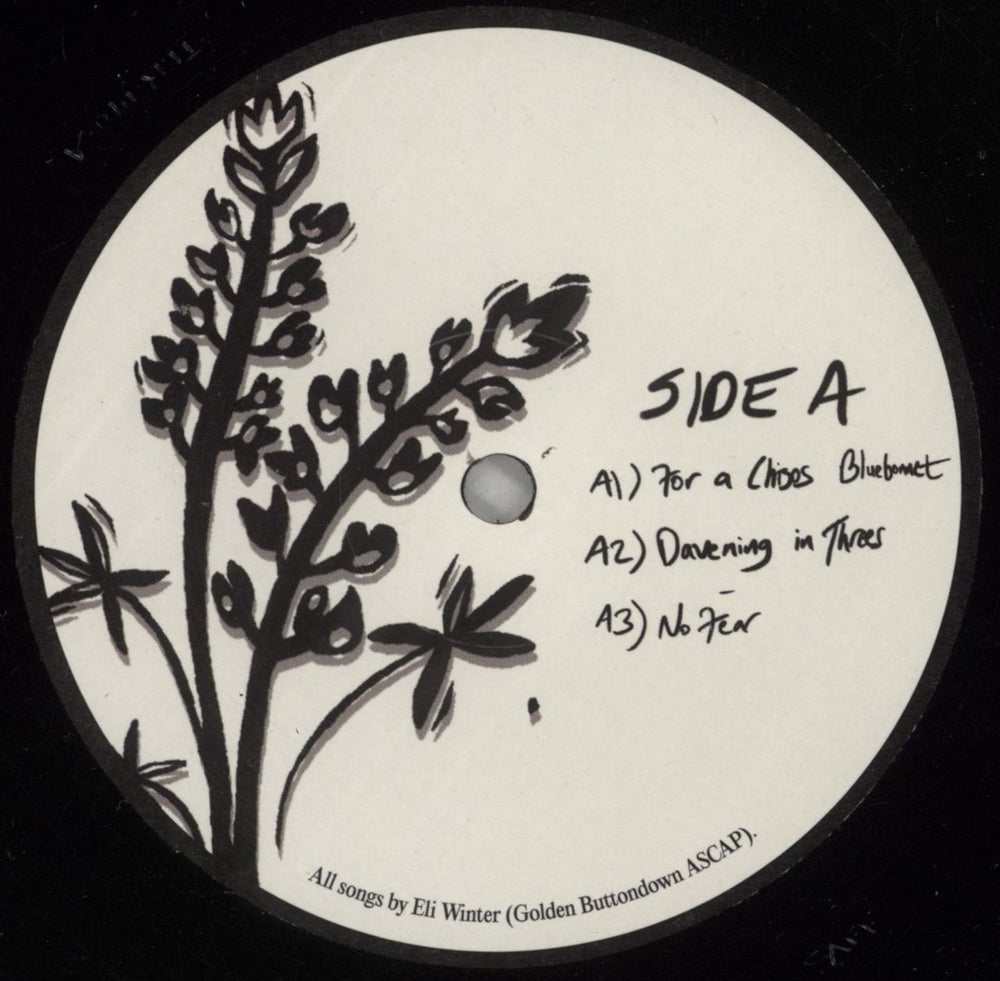 Eli Winter Eli Winter US vinyl LP album (LP record) 9WILPEL871942