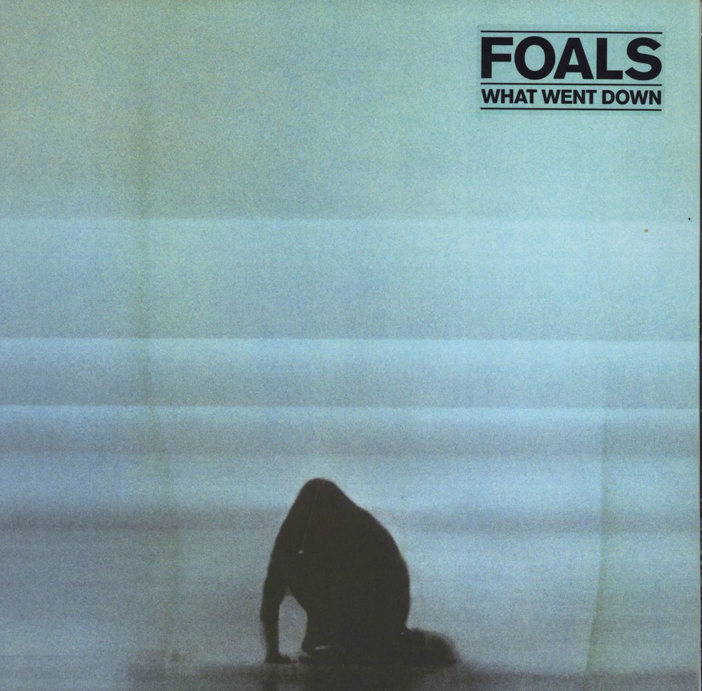 Foals What Went Down - 180gm UK vinyl LP album (LP record) 0825646075034