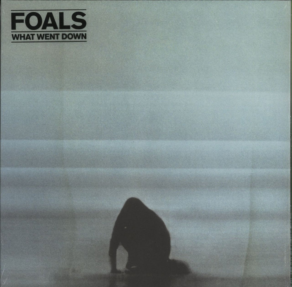Foals What Went Down - 180gm UK vinyl LP album (LP record) 0825646075034
