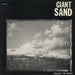 Giant Sand Valley Of Rain UK vinyl LP album (LP record) ZONG008