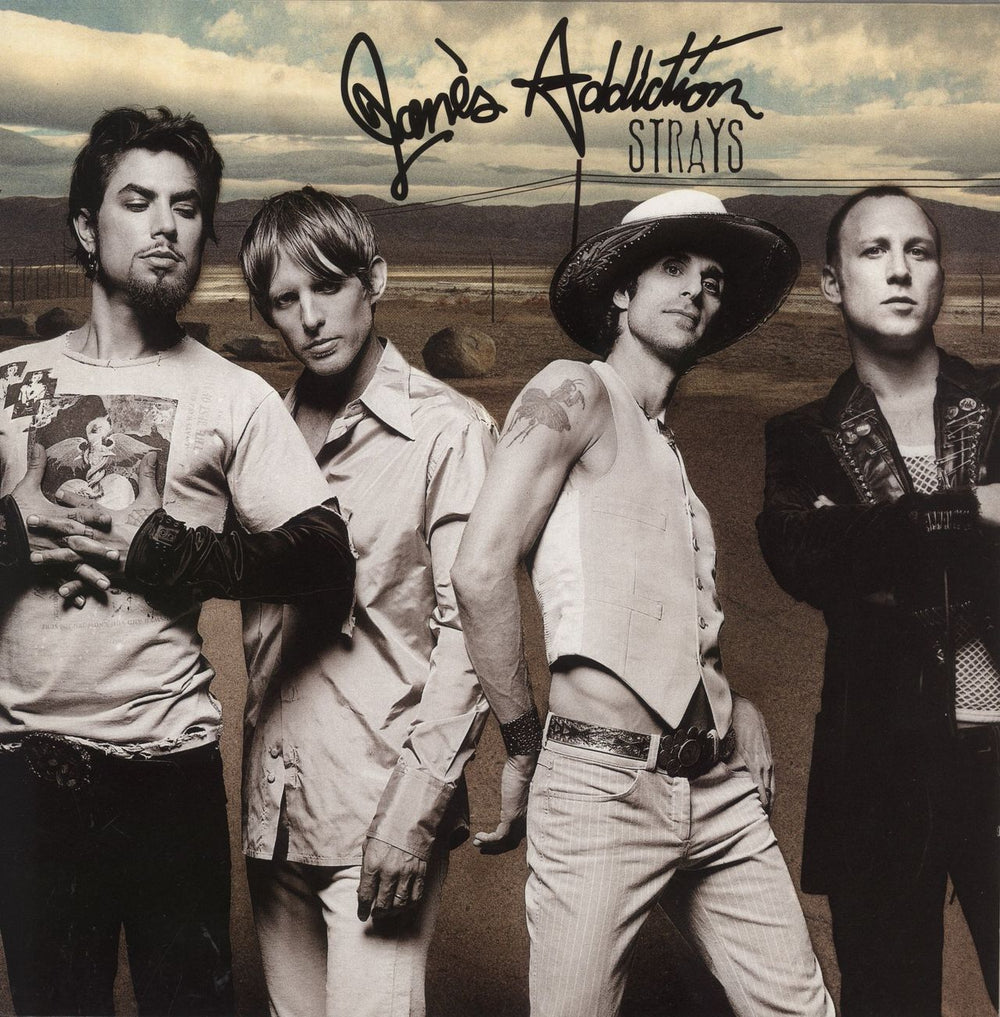 Janes Addiction Strays UK vinyl LP album (LP record) 5901861