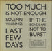 Last Few Days Too Much Is Not Enough UK vinyl LP album (LP record)