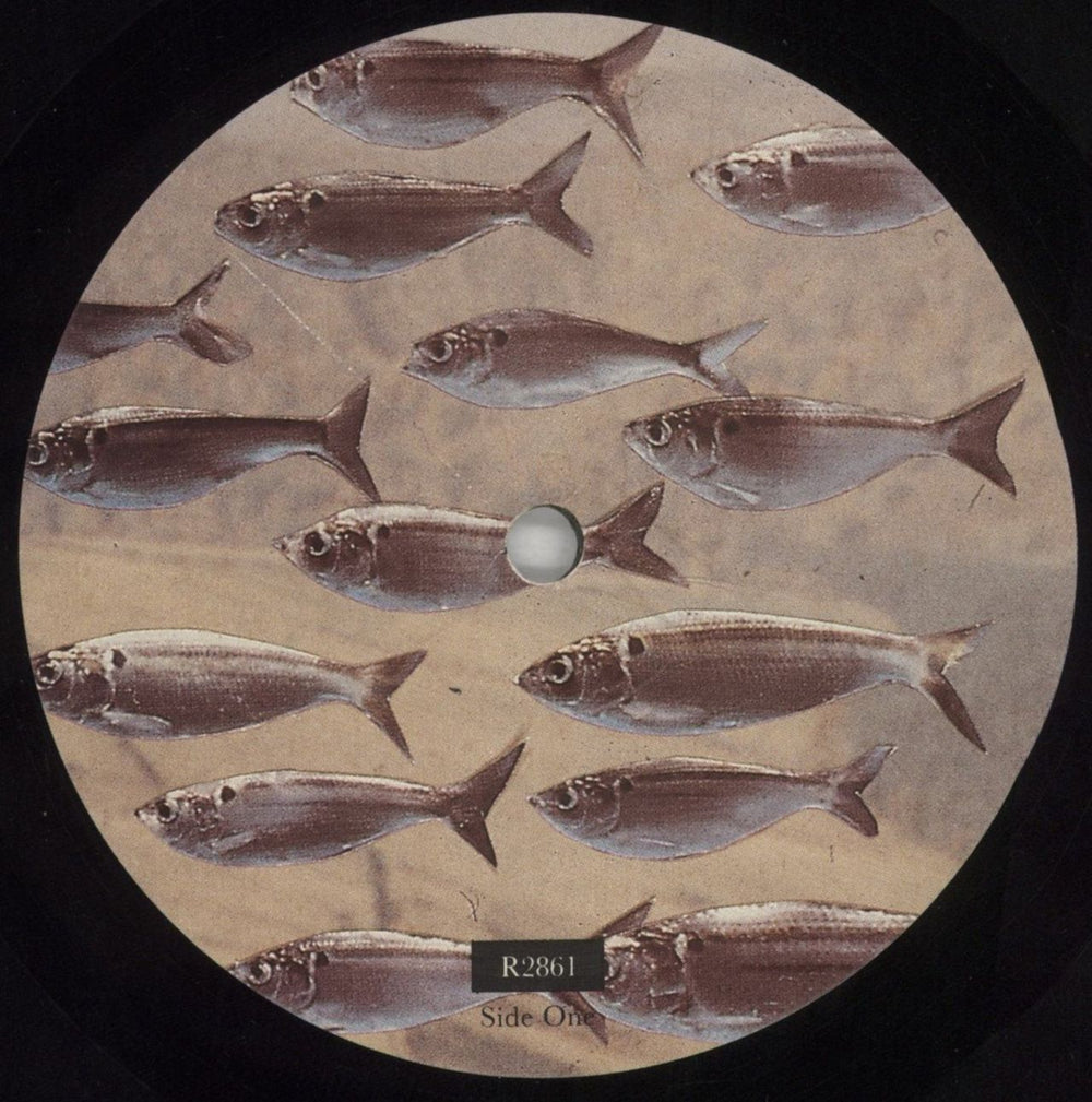 Levitation Need For Not UK vinyl LP album (LP record) LEVLPNE527183