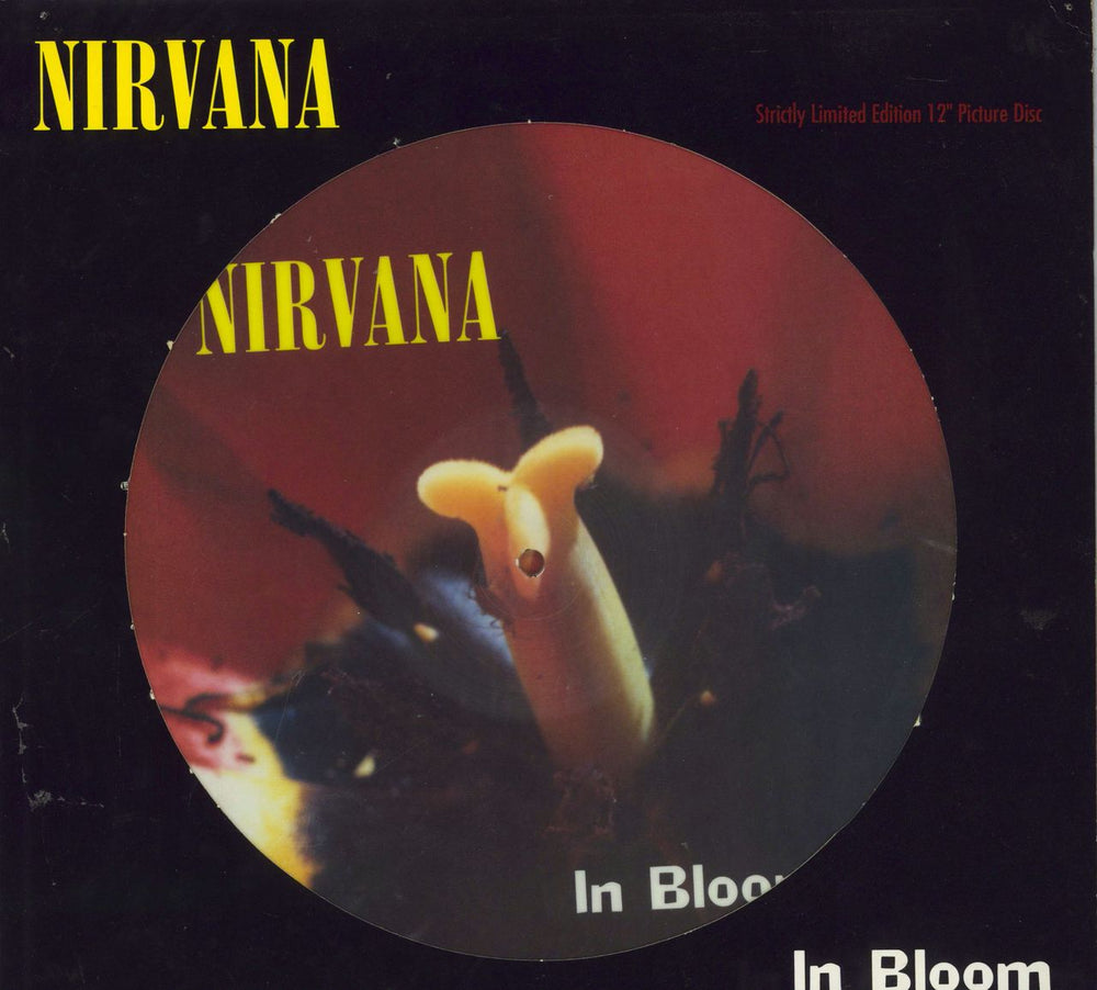 Nirvana (US) In Bloom - EX UK 12" vinyl picture disc (12 inch picture record) GFSTP34