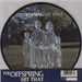 Offspring Hit That UK 7" vinyl picture disc (7 inch picture disc single) 6745477