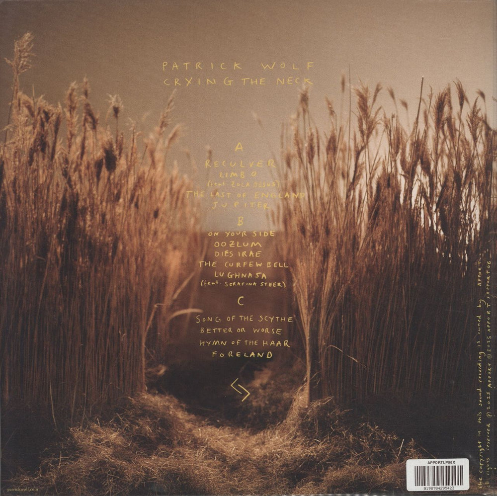 Patrick Wolf Crying The Neck - Brown & Clear Pinwheel Vinyl / Yellow & Clear Pinwheel Vinyl UK 2-LP vinyl record set (Double LP Album) 0198704295423