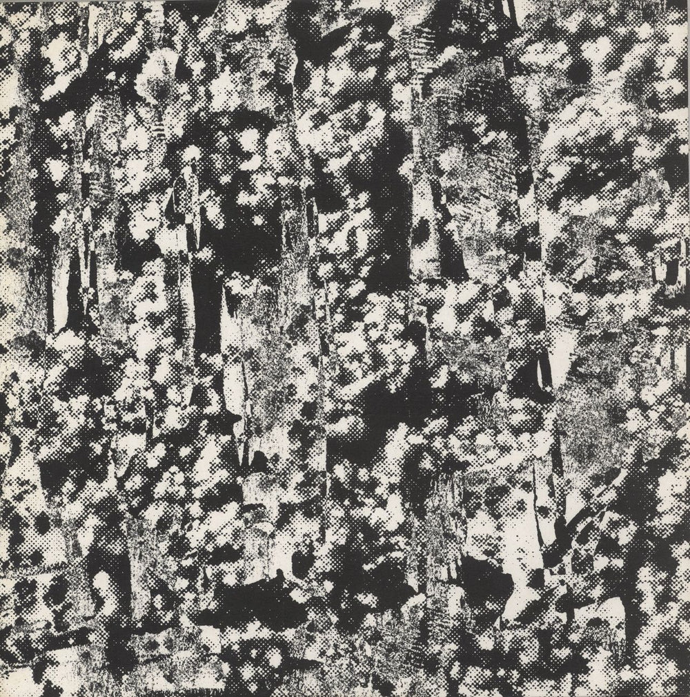 Perspex Flesh Ordered Image UK 12" vinyl single (12 inch record / Maxi-single) SSR028