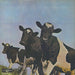 Pink Floyd Atom Heart Mother - ¥2,200 Stickered Obi Japanese vinyl LP album (LP record)