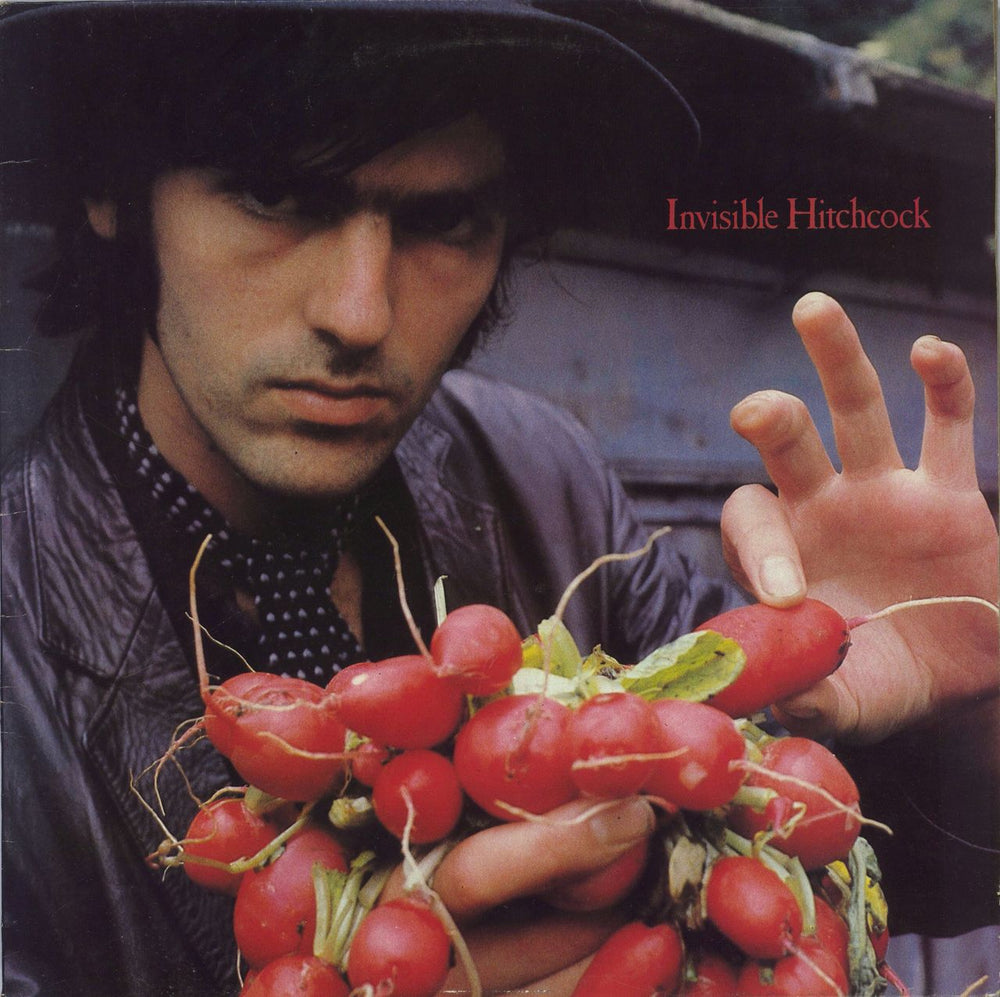 Robyn Hitchcock Invisible Hitchcock UK vinyl LP album (LP record) MOIST2