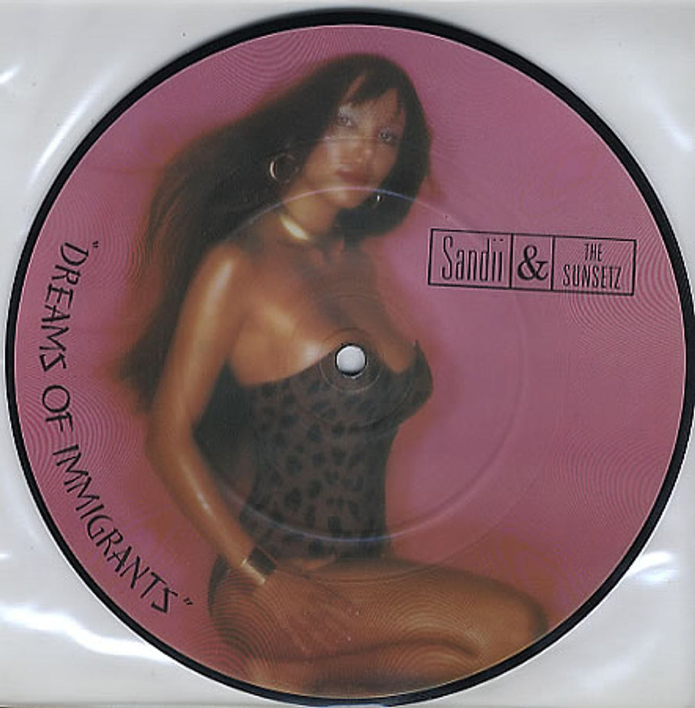 Sandii & The Sunsetz Dreams Of Immigrants UK 7" vinyl picture disc (7 inch picture disc single) SAND1P