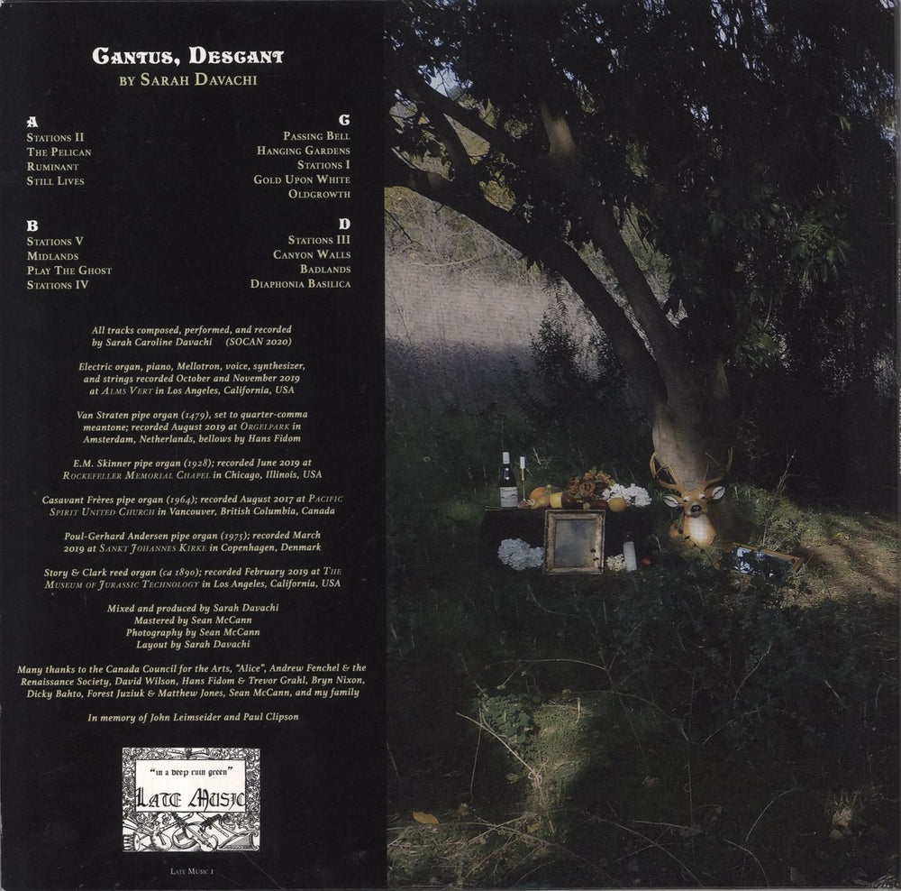 Sarah Davachi Cantus, Descant US 2-LP vinyl record set (Double LP Album)