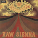 Savoy Brown Raw Sienna UK vinyl LP album (LP record) SKL5043