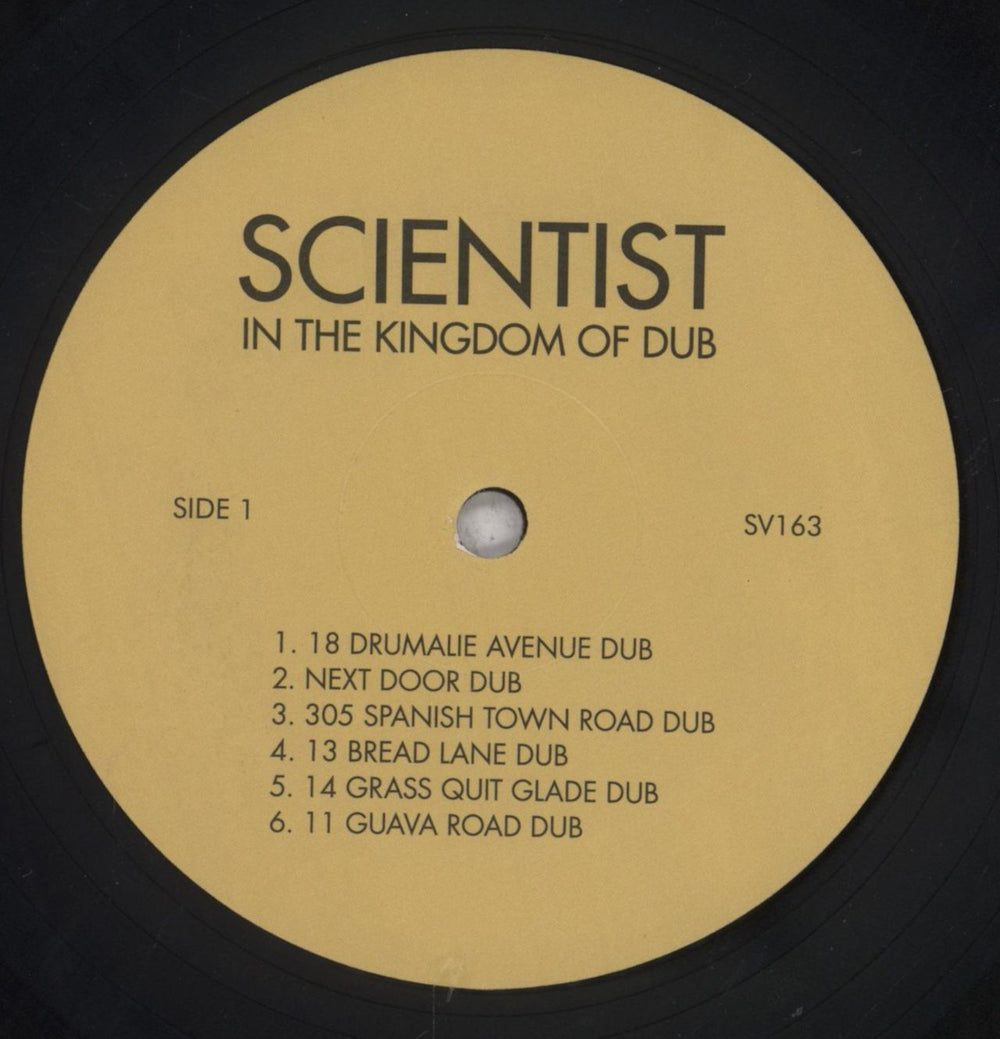 Scientist In The Kingdom Of Dub UK vinyl LP album (LP record) S0YLPIN843196