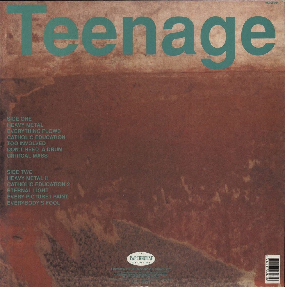 Teenage Fanclub A Catholic Education UK vinyl LP album (LP record) 5017161000720