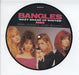 The Bangles Hazy Shade Of Winter UK 7" vinyl picture disc (7 inch picture disc single) BANGSP3