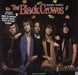 The Black Crowes Seeing Things UK 12" vinyl single (12 inch record / Maxi-single) DEFA1312