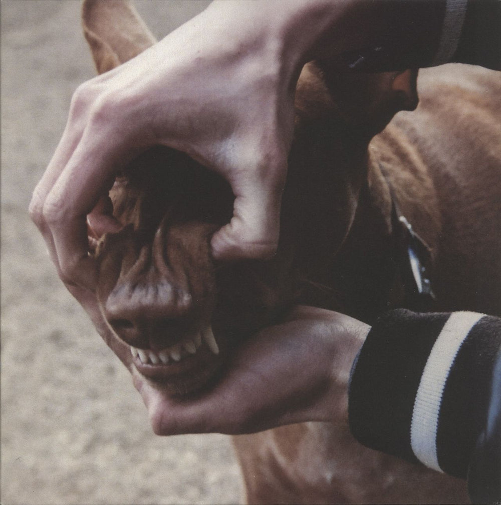 The New Tusk Sloom - Orange Vinyl UK 12" vinyl single (12 inch record / Maxi-single) BC014