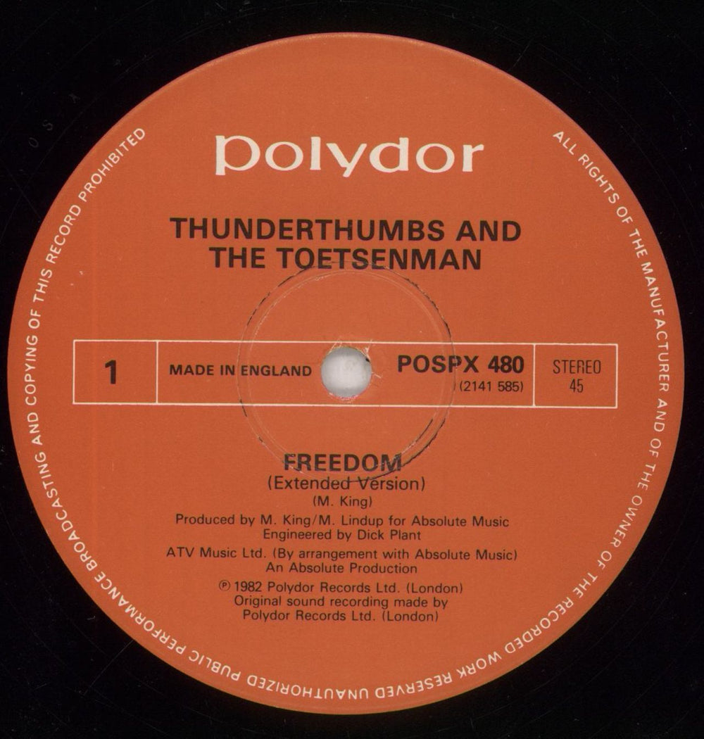 Thunderthumbs & The Toetsenman Freedom - EX UK 12" vinyl single (12 inch record / Maxi-single) TTT12FR233292