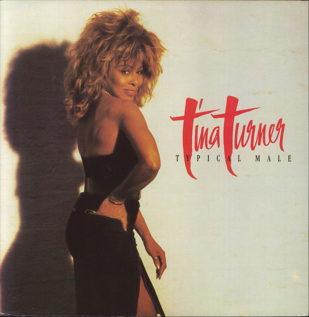 Tina Turner Typical Male UK 12" vinyl single (12 inch record / Maxi-single) 12CL419