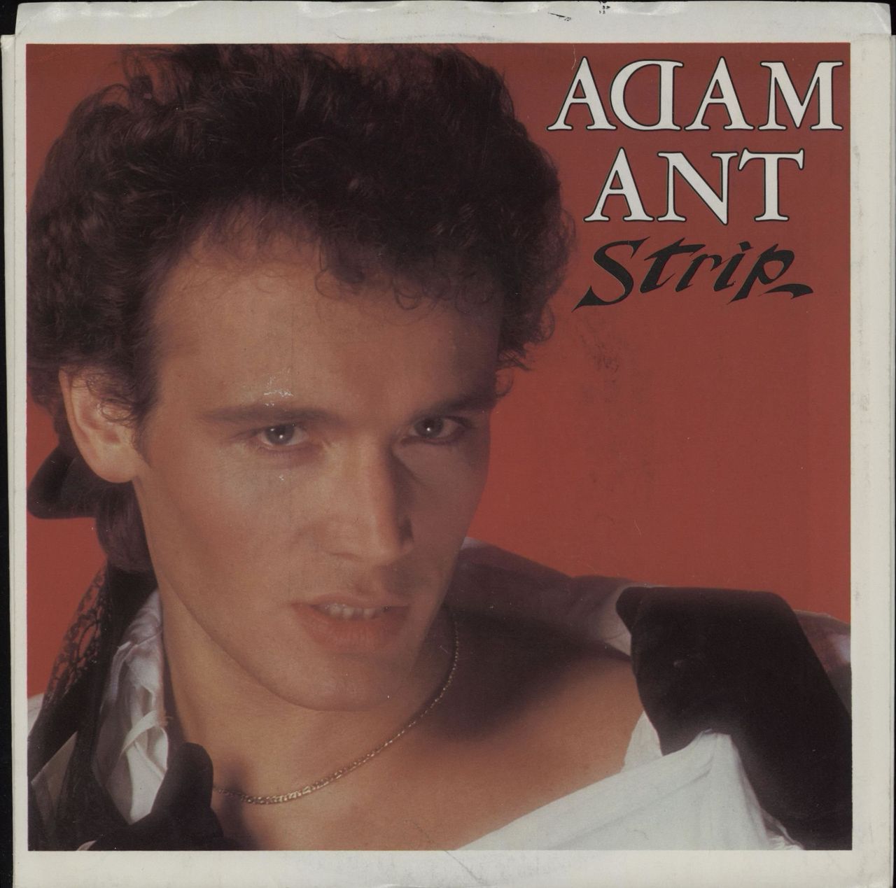 Adam Ant