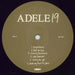 Adele 19 (Nineteen) UK vinyl LP album (LP record) AYXLPNI805068