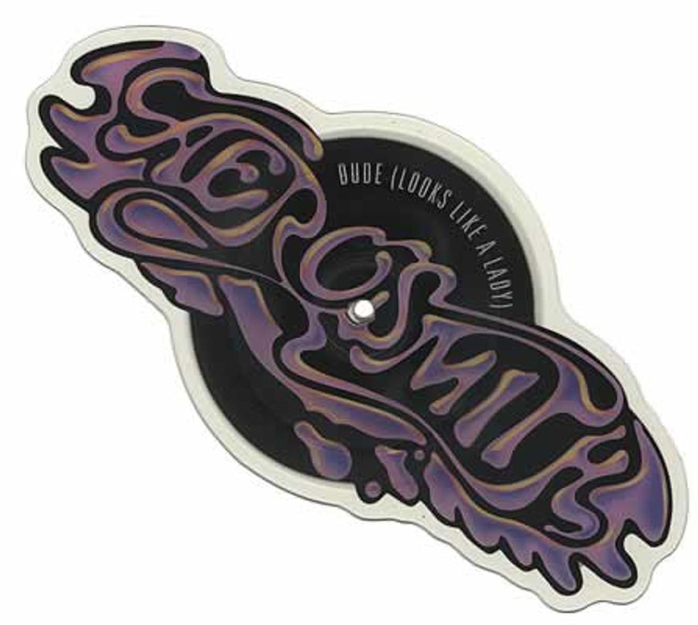 Aerosmith Dude Looks Like A Lady UK shaped picture disc (picture disc vinyl record) GEF72P