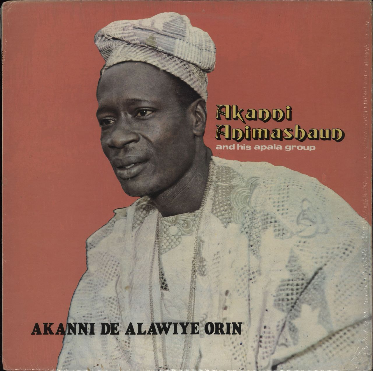 Akanni Animashaun
