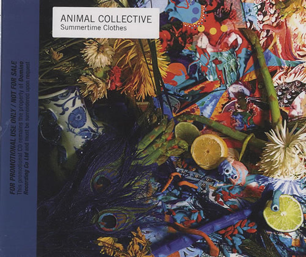 Animal Collective Summertime Clothes UK Promo CD single (CD5 / 5") RUG330CDP