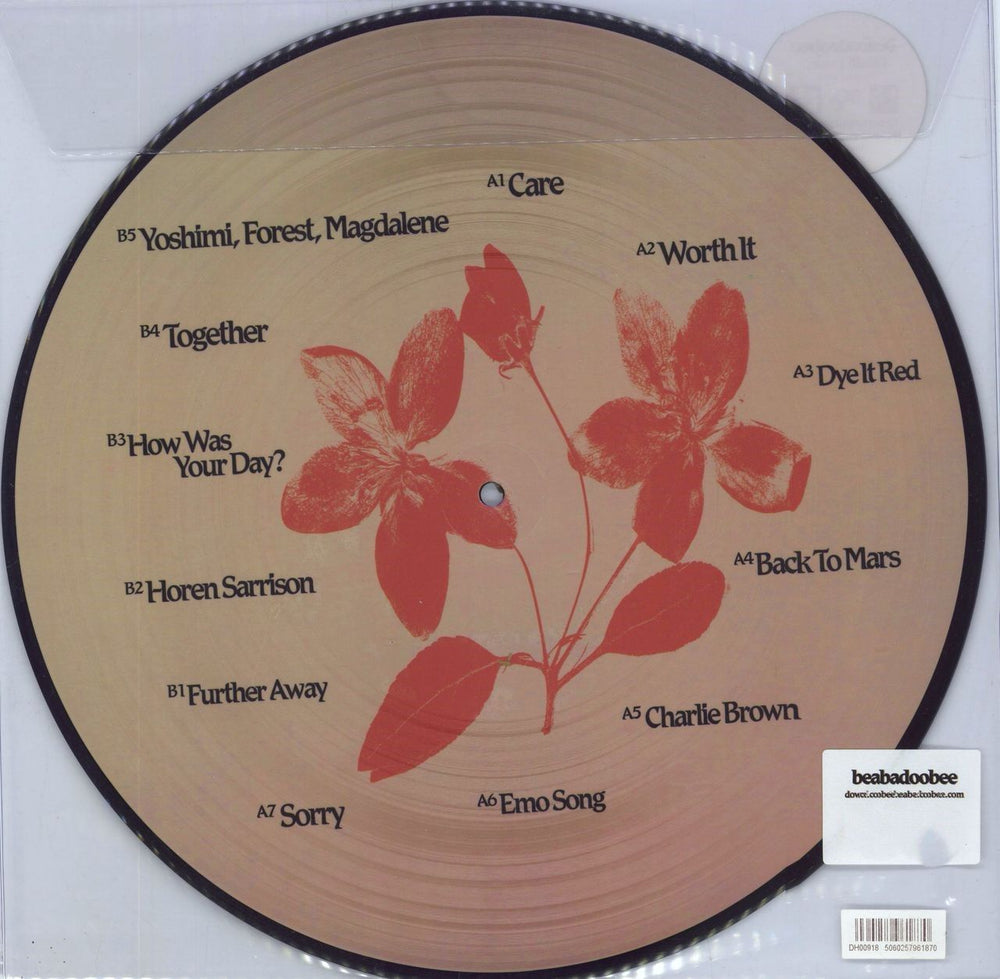 Beabadoobee Fake It Flowers UK picture disc LP (vinyl picture disc album) 5060257961870