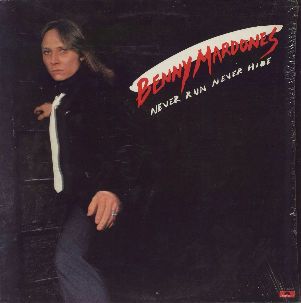 Benny Mardones