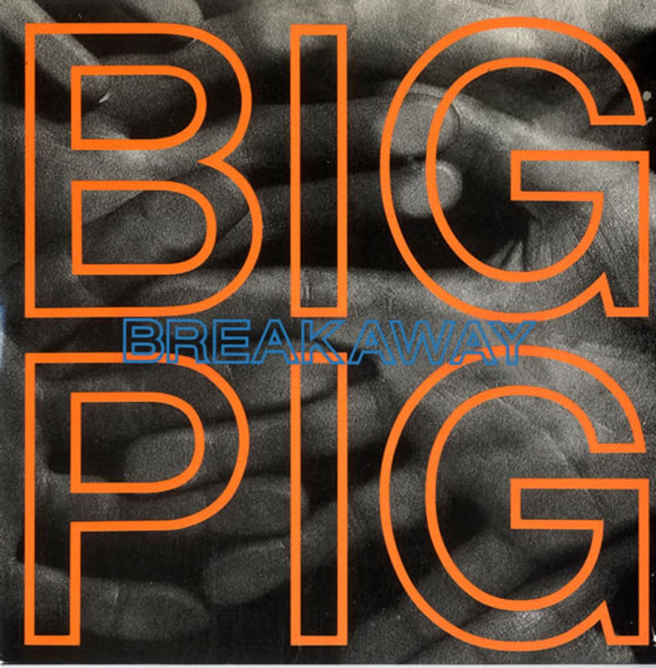 Big Pig