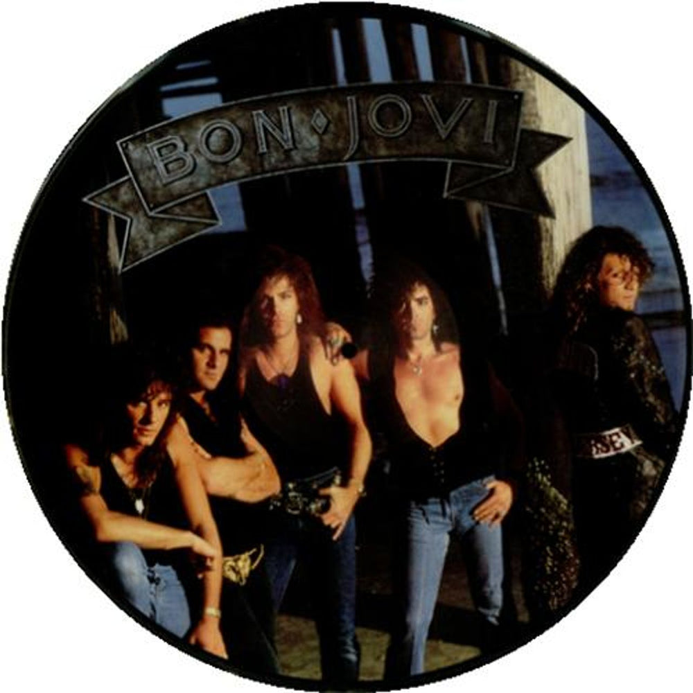 Bon Jovi New Jersey US picture disc LP (vinyl picture disc album) BONPDNE00535