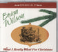 Brian Wilson What I Really Want For Christmas UK CD single (CD5 / 5") 82876764802