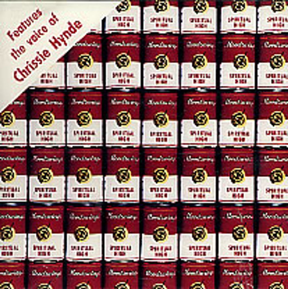 Chrissie Hynde Spiritual High US Promo CD single (CD5 / 5") ASCD-2458