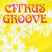 Citrus Groove Hit The Ground - Honey-Gold Vinyl US 7" vinyl single (7 inch record / 45) HON001