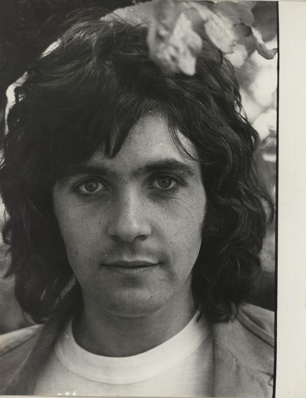 David Essex Three Publicity Photographs UK Promo photograph