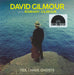 David Gilmour Yes I Have Ghosts - RSD 2020 UK 7" vinyl single (7 inch record / 45) DGRS1