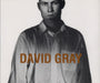 David Gray Birds Without Wings UK CD single (CD5 / 5") HUTCD23